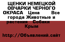 ЩЕНКИ НЕМЕЦКОЙ ОВЧАРКИ ЧЕРНОГО ОКРАСА › Цена ­ 1 - Все города Животные и растения » Собаки   . Крым